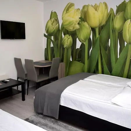 Trendi Apartman Siófok Kamer foto