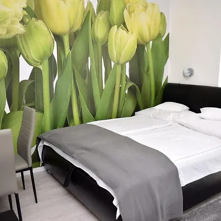 Trendi Apartman Siófok Kamer foto